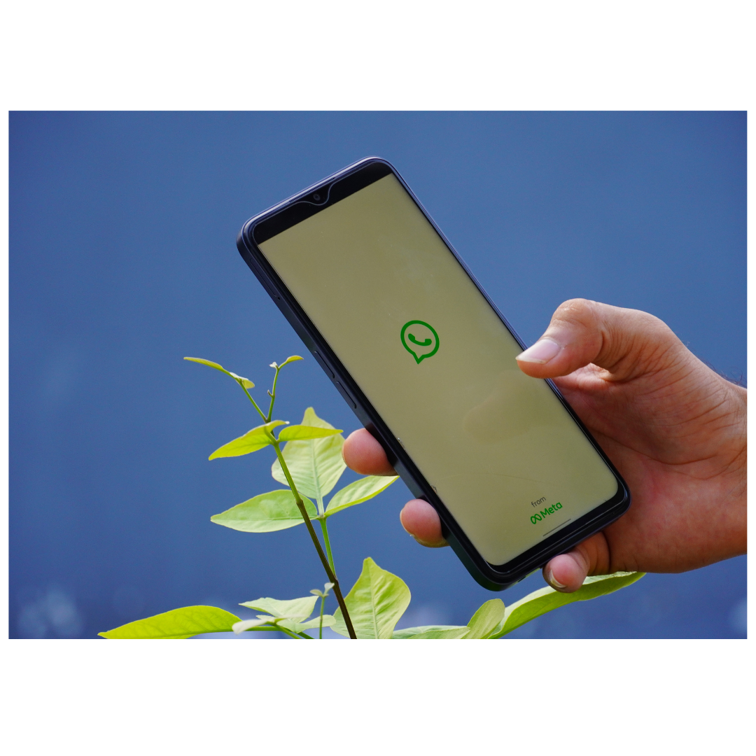 WhatsApp API Solutions
